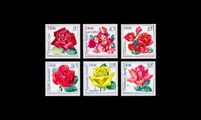 DDR 1763-8 ** Kansainvälinen ruusunäyttely (1972)