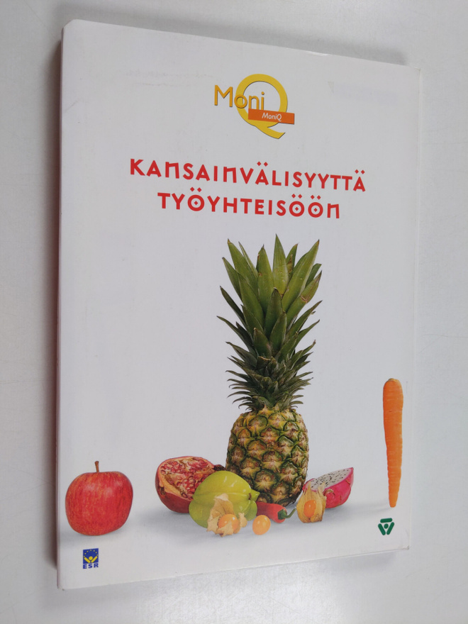 Kansainvälisyyttä työyhteisöön