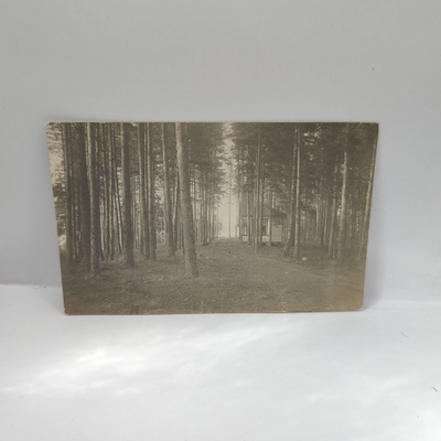 Kuhmoinen: Mökki