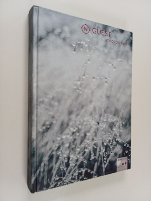 Guest iceland