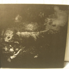 October Falls: The Womb Of Primordial Nature CD. - pikkukuva 1