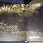 Opeth - Watershed 2LP 2018 - pikkukuva 3