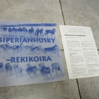 Anitta Kainulainen: Siperianhusky - rekikoira + koesäännöt - pikkukuva 1