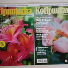KOTIPUUTARHA 2014 8 KPL - pikkukuva 4