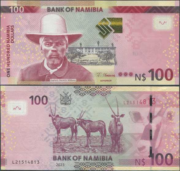 Namibia 100 Dollars 2023 (P-14c) UNC