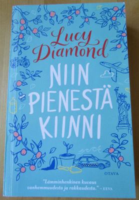 Lucy Diamond: Niin pienestä kiinni