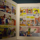 HULK ANNUAL (1981 Marvel Comics) Sis.postikulut - pikkukuva 2