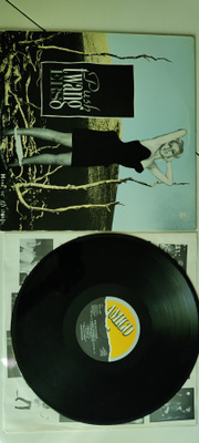 Pushtwangers - Here We Go Again vinyyli lp