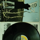 Pushtwangers - Here We Go Again vinyyli lp - pikkukuva 1