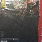 THÅSTRÖM - DOM SOM SKINER - SWE 2021 GATEFOLD M-/M- LP - pikkukuva 2