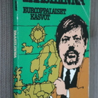 Arto Paasilinna : Eurooppalaiset kasvot ( 1.p. 1980 ) - pikkukuva 1