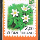Maksimikortti - Valkovuokko -90 - pikkukuva 1