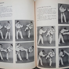 Taekwon-Do by Mark McCarthy - pikkukuva 3