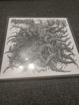 Blood Incantation / Spectral Voice - Split 7" (Repress)
