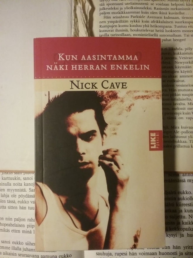 Nick Cave - Kun aasintamma näki herran enkelin (nid.)
