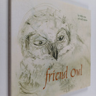 Pirkko Arjas : Friend owl - pikkukuva 1
