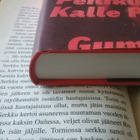 Antti Heikkinen - Kallio-poika: peilikuvassa Kalle Päätalo - pikkukuva 3