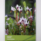 Luonnossa 2012 : hyötyä, tietoa ja elämyksiä - pikkukuva 2