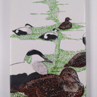 M. A. Ogilvie : Ducks of Britain and Europe - pikkukuva 2