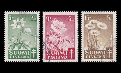 365-7 o Tuberkuloosi kukkia (1949)