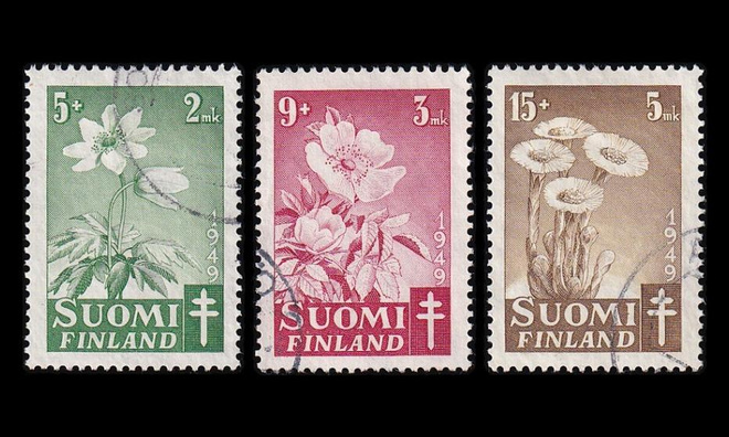 365-7 o Tuberkuloosi kukkia (1949)