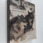 John Arnold : Work psychology : understanding human behav... - pikkukuva 1