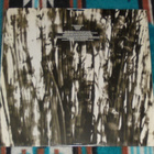 THE PSYCHEDELIC FURS ~ Book Of Days ~ LP - pikkukuva 3