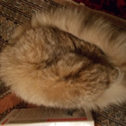 TURKISHATTU - pikkukuva 2