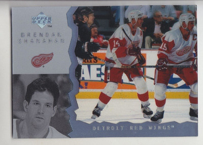 Brendan Shanahan UD ice