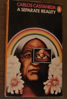 Carlos Castaneda - A Separate Reality