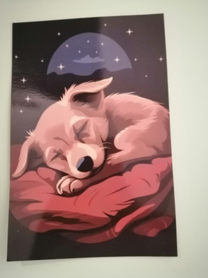 Koira nukkuu