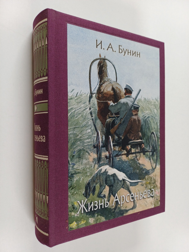 Ivan Alekseevich Bunin : Zhizn Arseneva : yunost