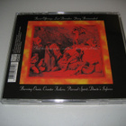 Iced Earth - Burnt Offerings (CD) - pikkukuva 2
