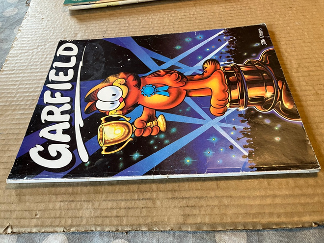 GARFIELD ALBUMI 1990