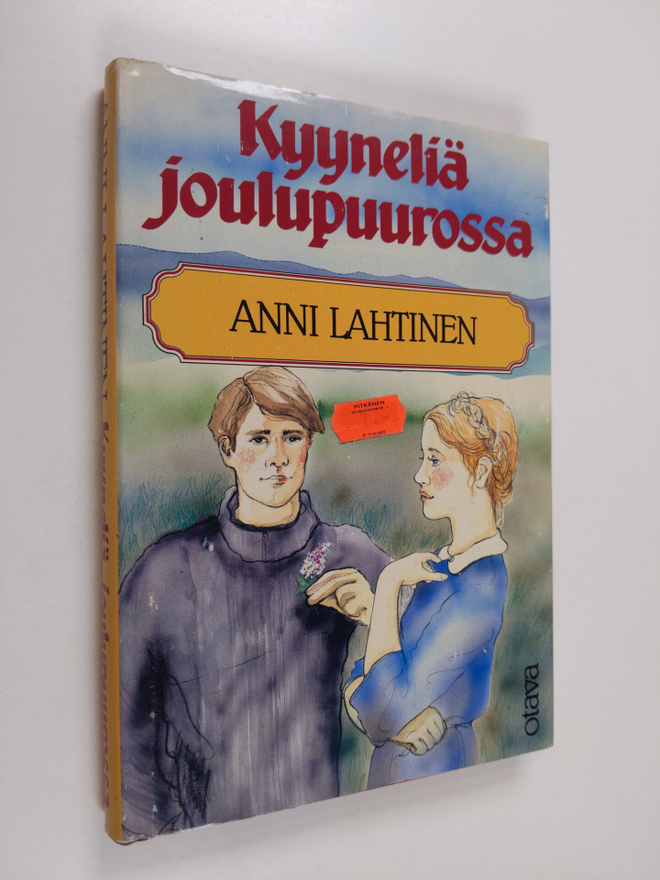 Anni Lahtinen : Kyyneliä joulupuurossa