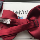 Silkkirusetti, eli "mirri", Lanvin for HM - pikkukuva 3