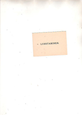 Luostarinen, äänestyskortti, eduskunta.