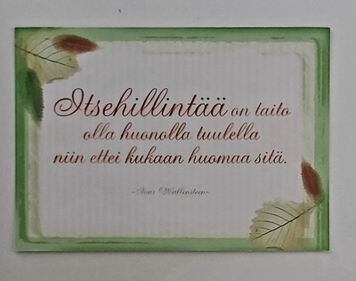 "Mietelause tarra" KARTO-KULKEMATON POSTIKORTTI