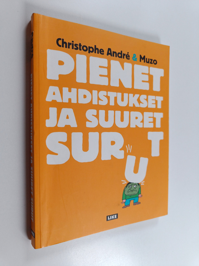 Christophe Andre : Pienet ahdistukset ja suuret surut