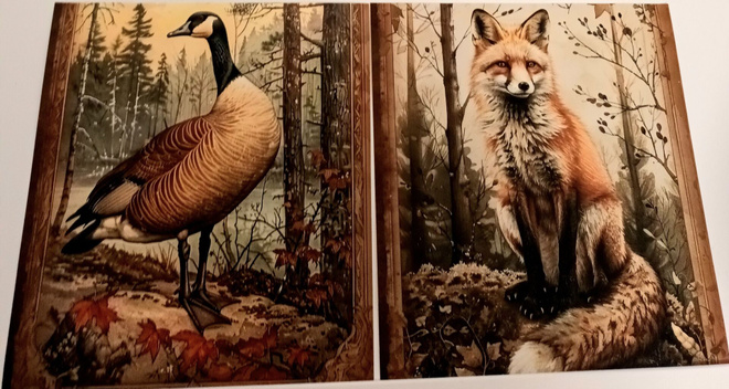 Kuviokartonki ELÄIMET / 2 kpl -setti / 14 x 15 cm