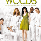 Weeds - Kausi 3 - (3 DVD) - pikkukuva 1