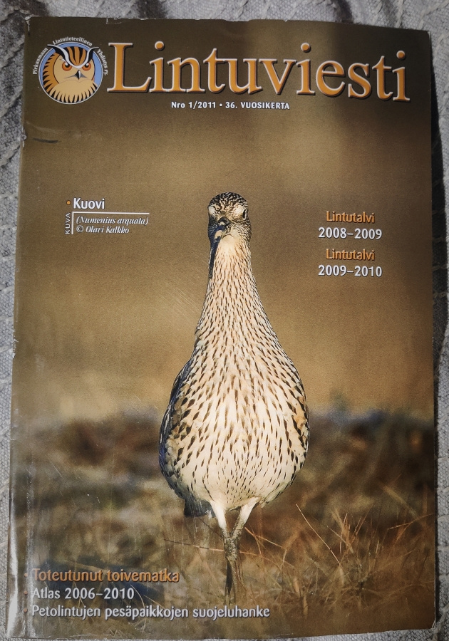 LINTUVIESTI 1/2011 Pily yhdistyslehti