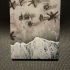 Call of Duty WWII SteelBook Edition PS4 - pikkukuva 1