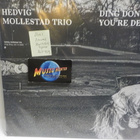 HEDVIG MOLLESTAD TRIO - DING DONG YOU`RE DEAD UUSI LP - pikkukuva 1