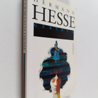 Hermann Hesse : Gertrud - pikkukuva 1