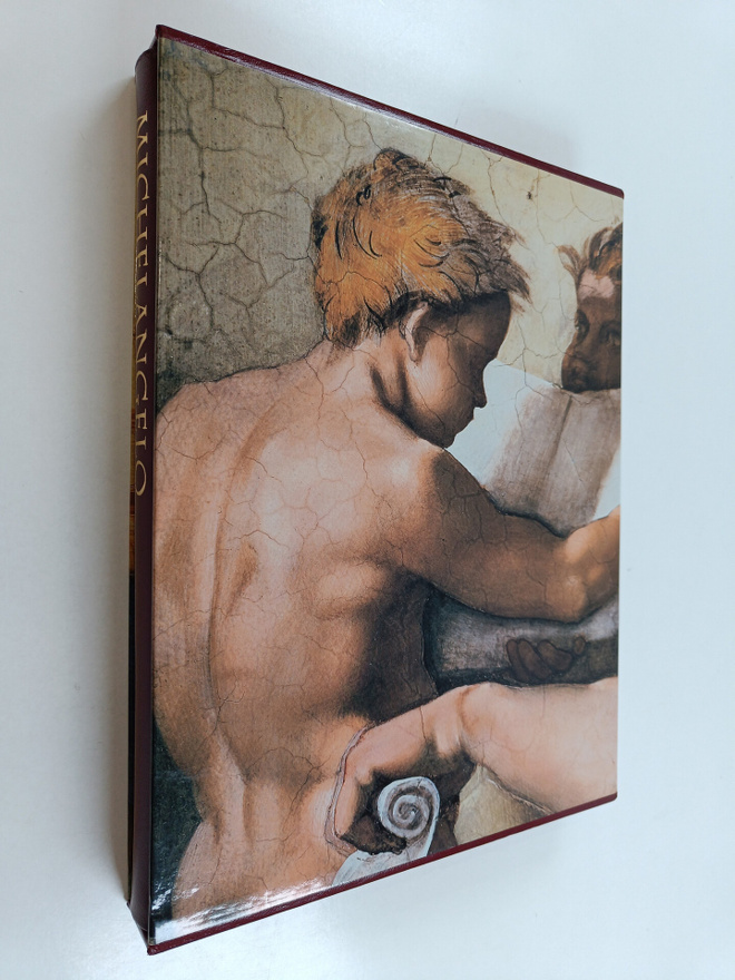 Pierluigi De Vecchi : Michelangelo : Vatikaanin freskot (...