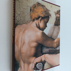 Pierluigi De Vecchi : Michelangelo : Vatikaanin freskot (... - pikkukuva 1