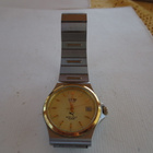 Miesten Rannekello Puma, Quartz - pikkukuva 1