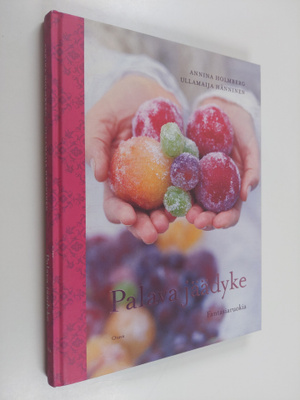 Annina Holmberg : Palava jäädyke : fantasiaruokia