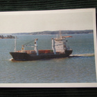 M/S Julia. Laivapostikortti - pikkukuva 1